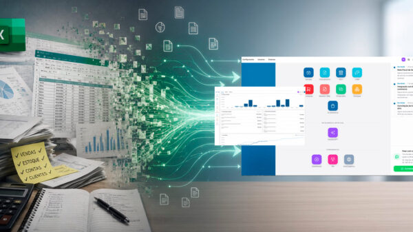 Evolução de planilhas em Excel para o ERP.